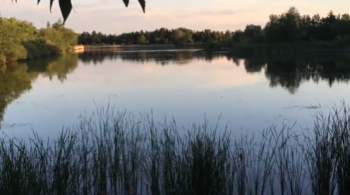 Норма ли? В Караганде воду из паркового озера используют для полива городских клумб