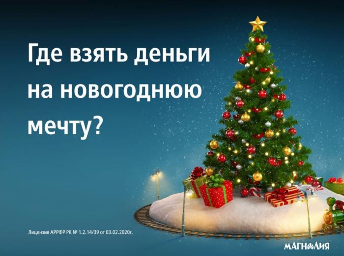 Где взять деньги на новогоднюю мечту?