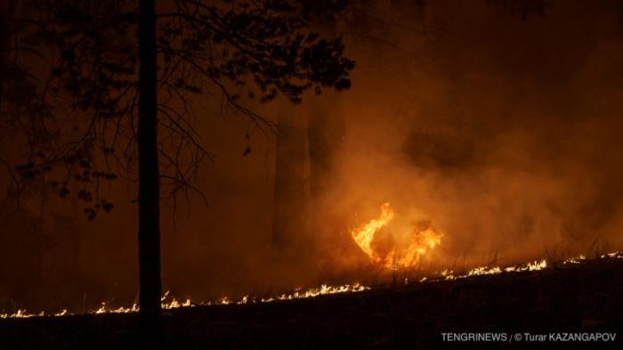 День траура: телеграммы соболезнования поступают в Акорду
                12 июня 2023, 19:20