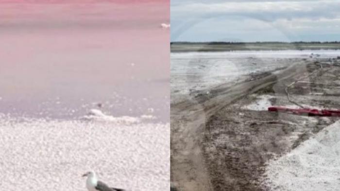 Комиссия и эксперты проверят состояние розового озера под Павлодаром
                17 июля 2023, 08:00