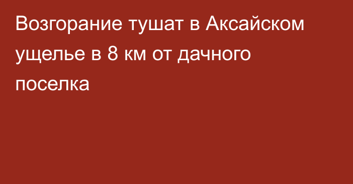 Возгорание тушат в Аксайском ущелье в 8 км от дачного поселка