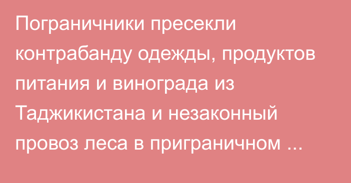 Пограничники пресекли контрабанду одежды, продуктов питания и винограда из Таджикистана и незаконный провоз леса в приграничном районе