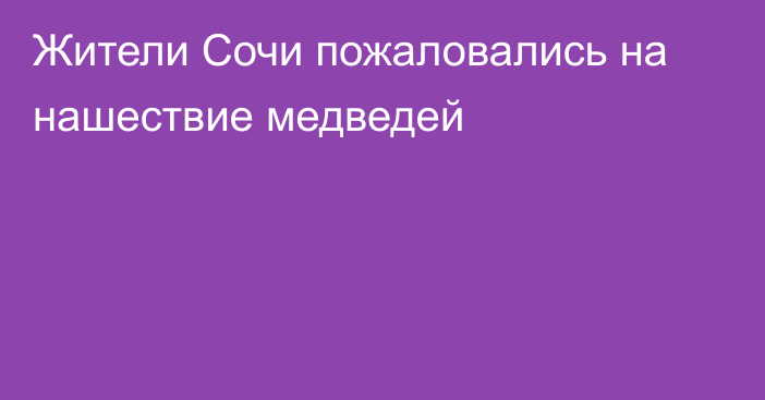 Жители Сочи пожаловались на нашествие медведей