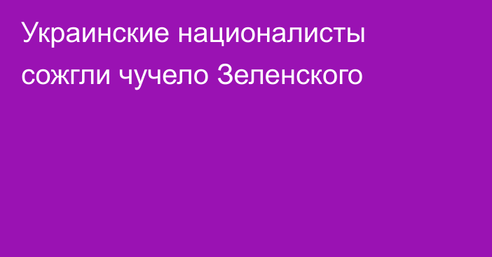 Украинские националисты сожгли чучело Зеленского