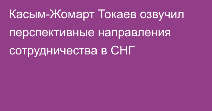 Касым-Жомарт Токаев озвучил перспективные направления сотрудничества в СНГ