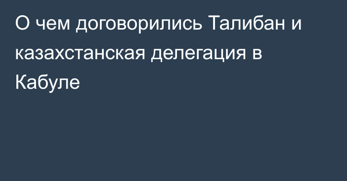 О чем договорились Талибан и казахстанская делегация в Кабуле