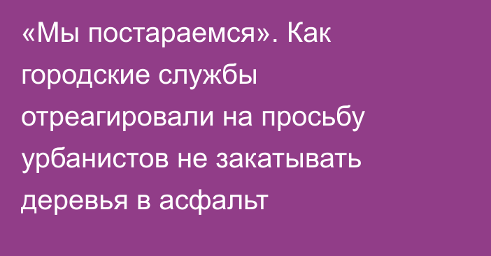 «Мы постараемся». Как городские службы отреагировали на просьбу урбанистов не закатывать деревья в асфальт