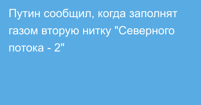 Путин сообщил, когда заполнят газом вторую нитку 