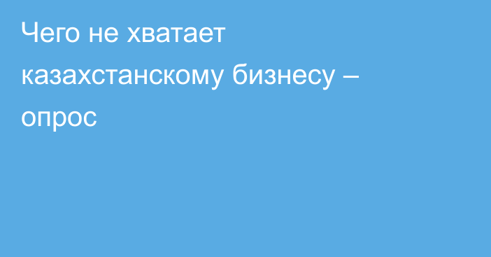 Чего не хватает казахстанскому бизнесу – опрос