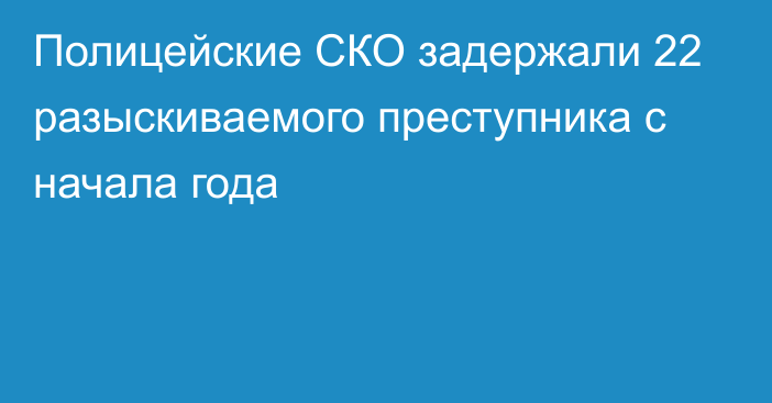 Полицейские СКО задержали 22 разыскиваемого преступника с начала года