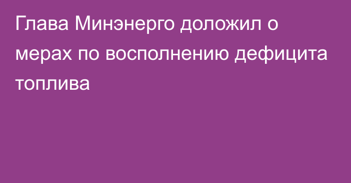 Глава Минэнерго доложил о мерах по восполнению дефицита топлива