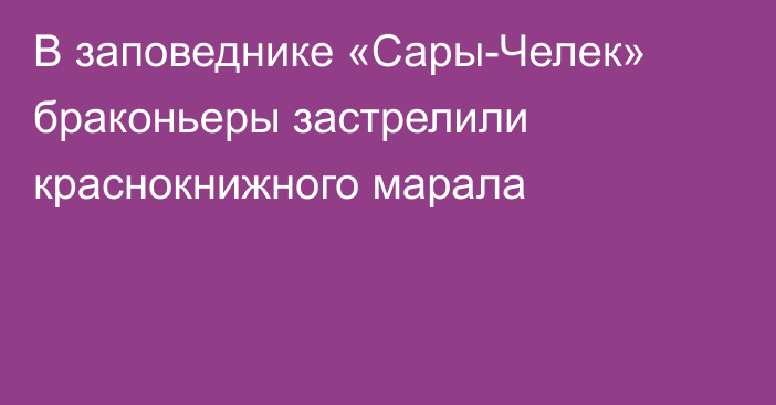 В заповеднике «Сары-Челек» браконьеры застрелили краснокнижного марала