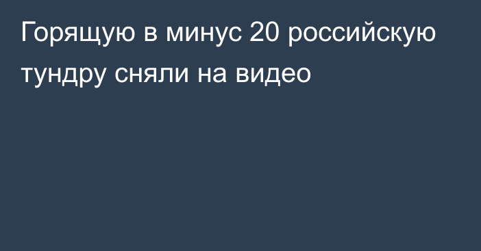 Горящую в минус 20 российскую тундру сняли на видео