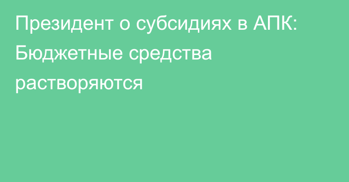 Президент о субсидиях в АПК: Бюджетные средства растворяются