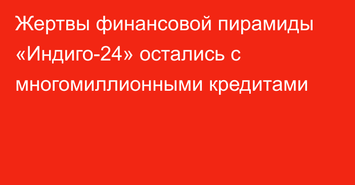 Жертвы финансовой пирамиды «Индиго-24» остались с многомиллионными кредитами