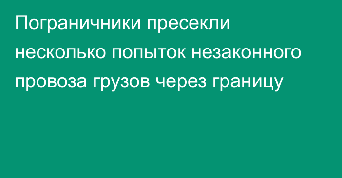 Пограничники пресекли несколько попыток незаконного провоза грузов через границу