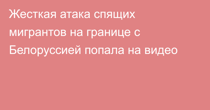 Жесткая атака спящих мигрантов на границе с Белоруссией попала на видео