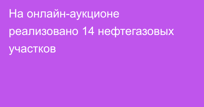 На онлайн-аукционе реализовано 14 нефтегазовых участков