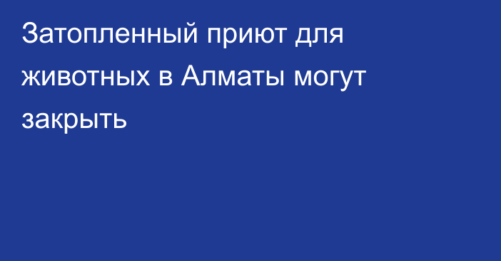 Затопленный приют для животных в Алматы могут закрыть