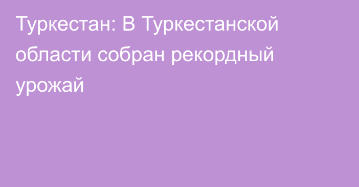 Туркестан: В Туркестанской области собран рекордный урожай