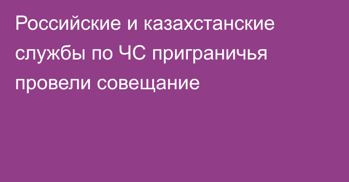 Российские и казахстанские службы по ЧС приграничья провели совещание