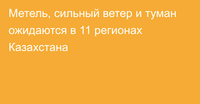 Метель, сильный ветер и туман ожидаются в 11 регионах Казахстана