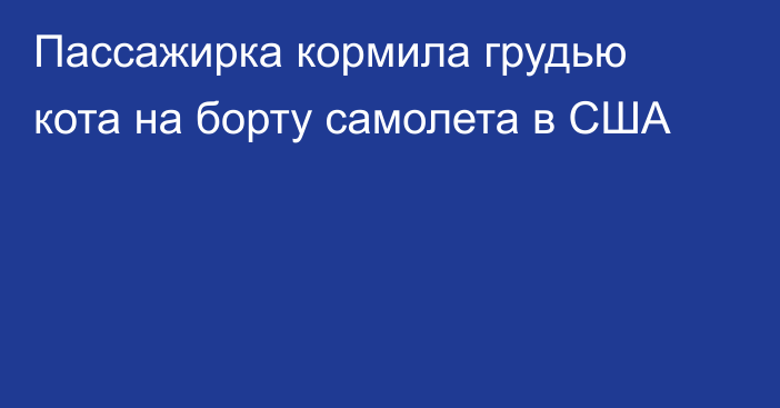 Пассажирка кормила грудью кота на борту самолета в США