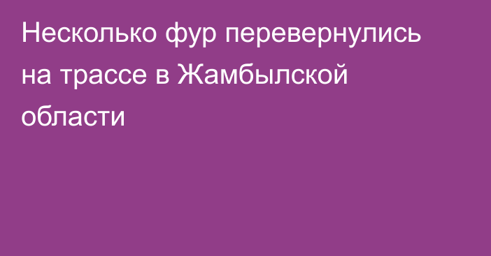 Несколько фур перевернулись на трассе в Жамбылской области