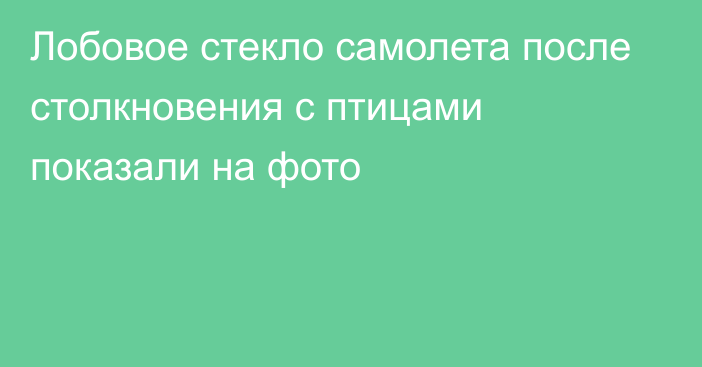 Лобовое стекло самолета после столкновения с птицами показали на фото