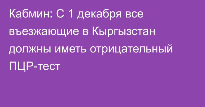 Кабмин: С 1 декабря все въезжающие в Кыргызстан должны иметь отрицательный ПЦР-тест