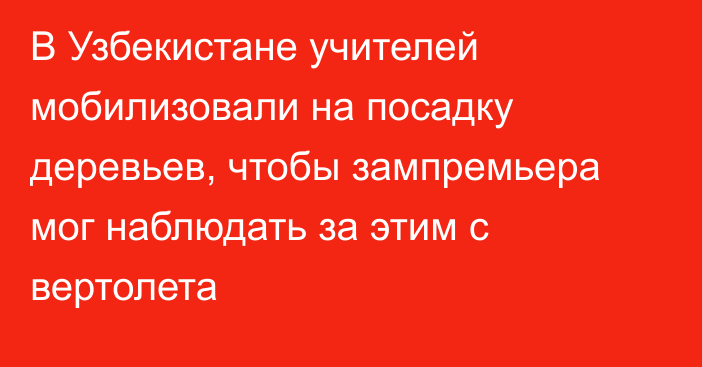 В Узбекистане учителей мобилизовали на посадку деревьев, чтобы зампремьера мог наблюдать за этим с вертолета