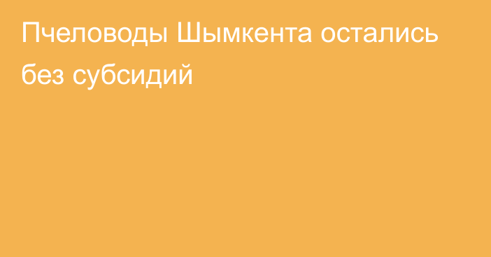 Пчеловоды Шымкента остались без субсидий