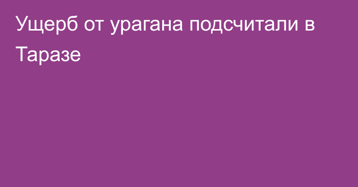 Ущерб от урагана подсчитали в Таразе