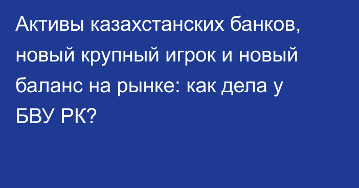 Активы казахстанских банков, новый крупный игрок и новый баланс на рынке: как дела у БВУ РК?