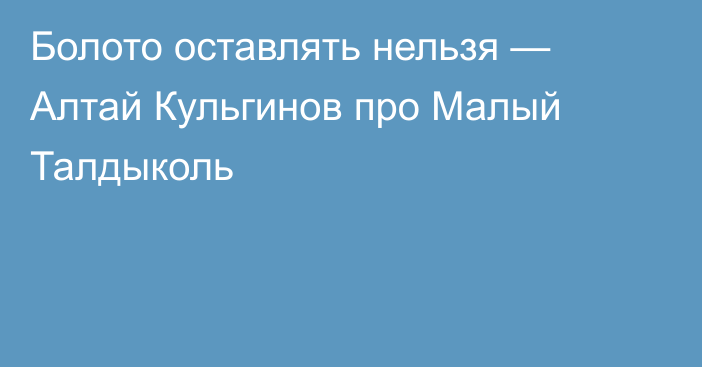 Болото оставлять нельзя — Алтай Кульгинов про Малый Талдыколь