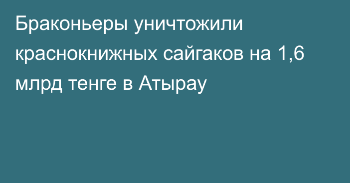 Браконьеры уничтожили краснокнижных сайгаков на 1,6 млрд тенге в Атырау