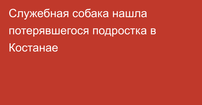 Служебная собака нашла потерявшегося подростка в Костанае