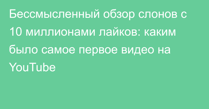 Бессмысленный обзор слонов с 10 миллионами лайков: каким было самое первое видео на YouTube