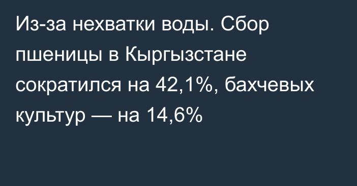 Из-за нехватки воды. Сбор пшеницы в Кыргызстане сократился на 42,1%, бахчевых культур — на 14,6%