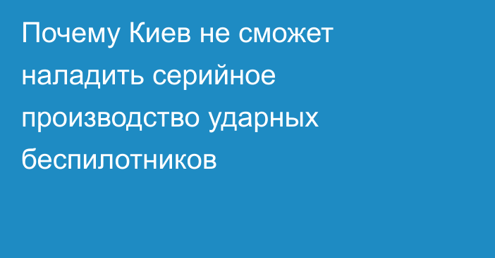 Почему Киев не сможет наладить серийное производство ударных беспилотников