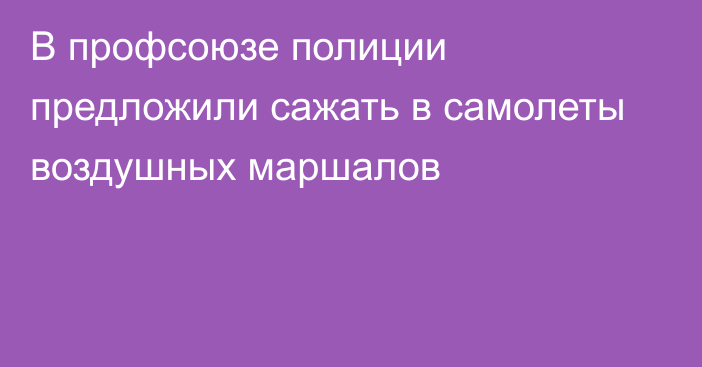 В профсоюзе полиции предложили сажать в самолеты воздушных маршалов