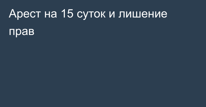 Арест на 15 суток и лишение прав