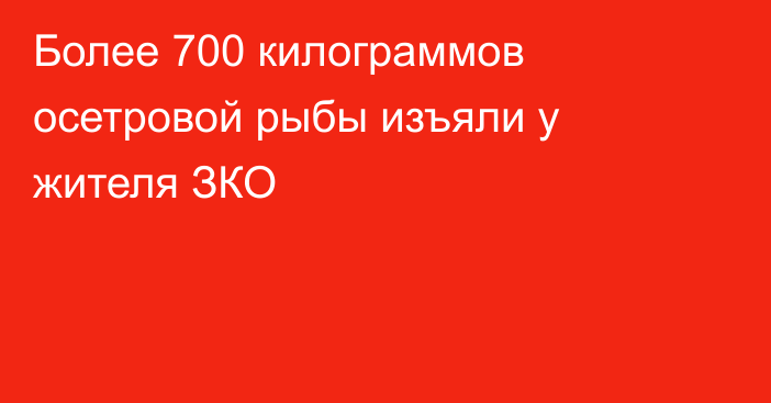 Более 700 килограммов осетровой рыбы изъяли у жителя ЗКО