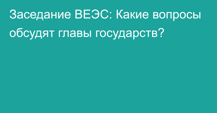 Заседание ВЕЭС: Какие вопросы обсудят главы государств?