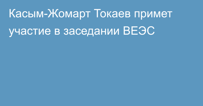 Касым-Жомарт Токаев примет участие в заседании ВЕЭС