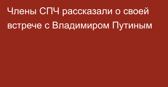 Члены СПЧ рассказали о своей встрече с Владимиром Путиным