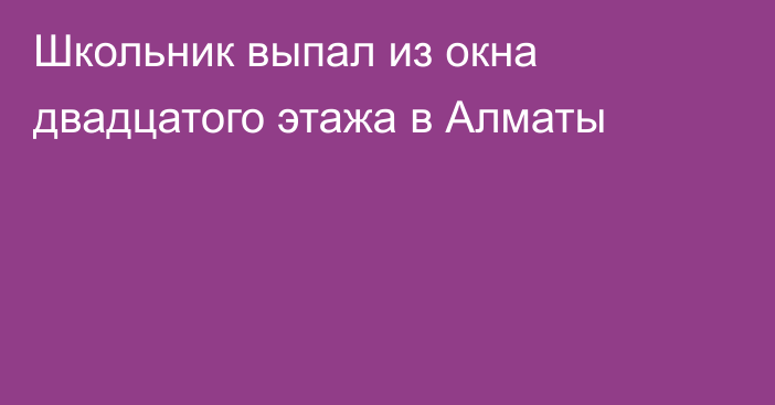 Школьник выпал из окна двадцатого этажа в Алматы