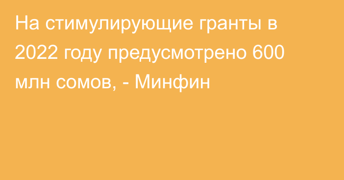 На стимулирующие гранты в 2022 году предусмотрено 600 млн сомов, - Минфин