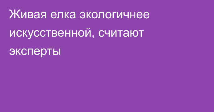 Живая елка экологичнее искусственной, считают эксперты