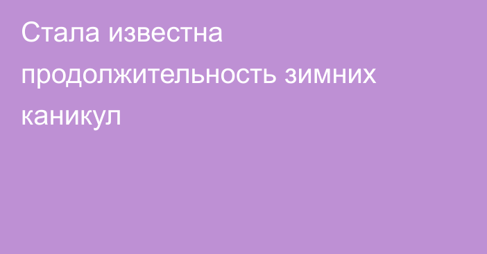 Стала известна продолжительность зимних каникул